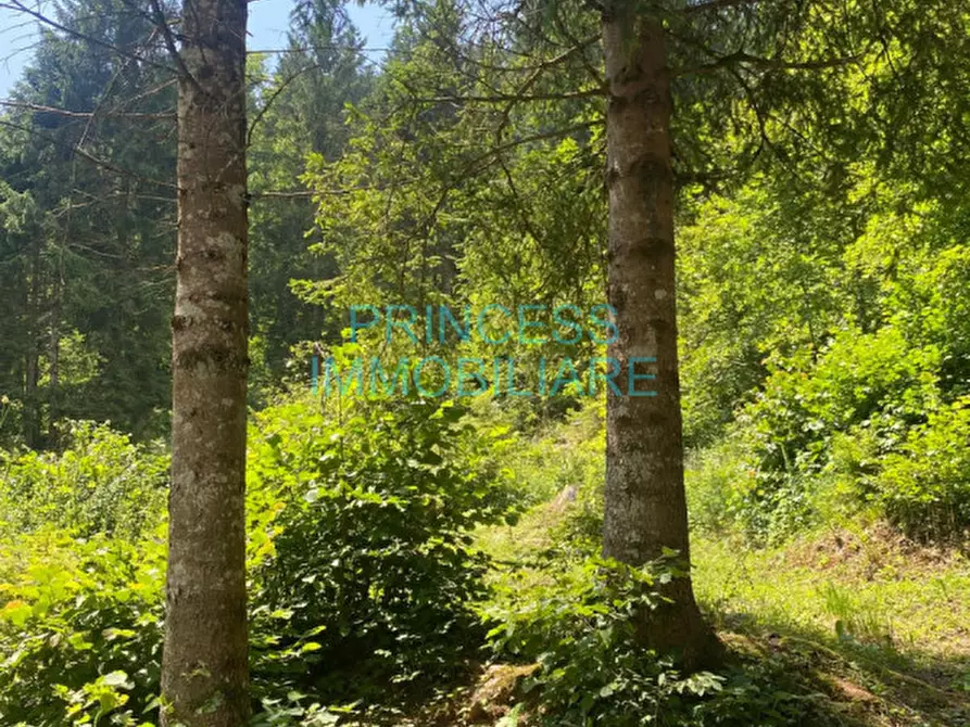 Immagine 9 di Rustico / casale in vendita  in altopiano di asiago a Cogollo Del Cengio