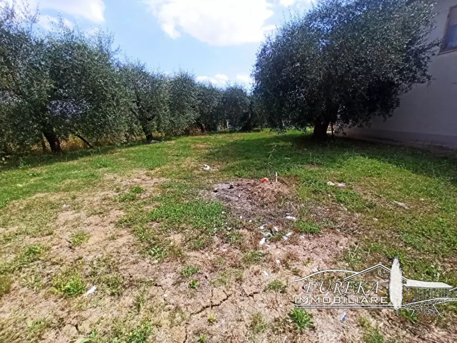 Immagine 18 di Casa indipendente in vendita  in via roma 152 a Castiglione Del Lago