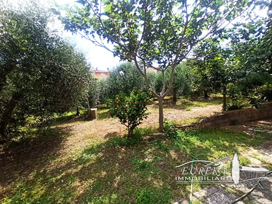 Immagine 25 di Casa indipendente in vendita  in via roma 152 a Castiglione Del Lago