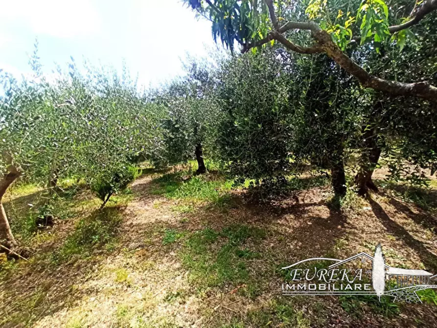 Immagine 26 di Casa indipendente in vendita  in via roma 152 a Castiglione Del Lago