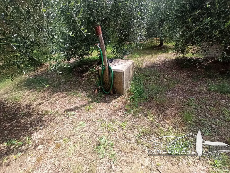 Immagine 27 di Casa indipendente in vendita  in via roma 152 a Castiglione Del Lago