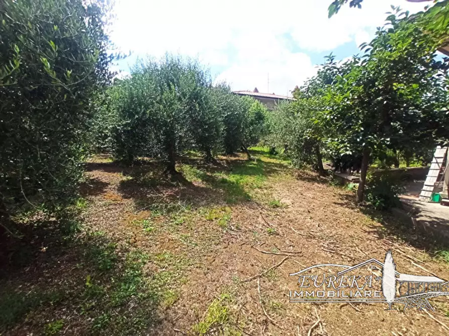 Immagine 28 di Casa indipendente in vendita  in via roma 152 a Castiglione Del Lago