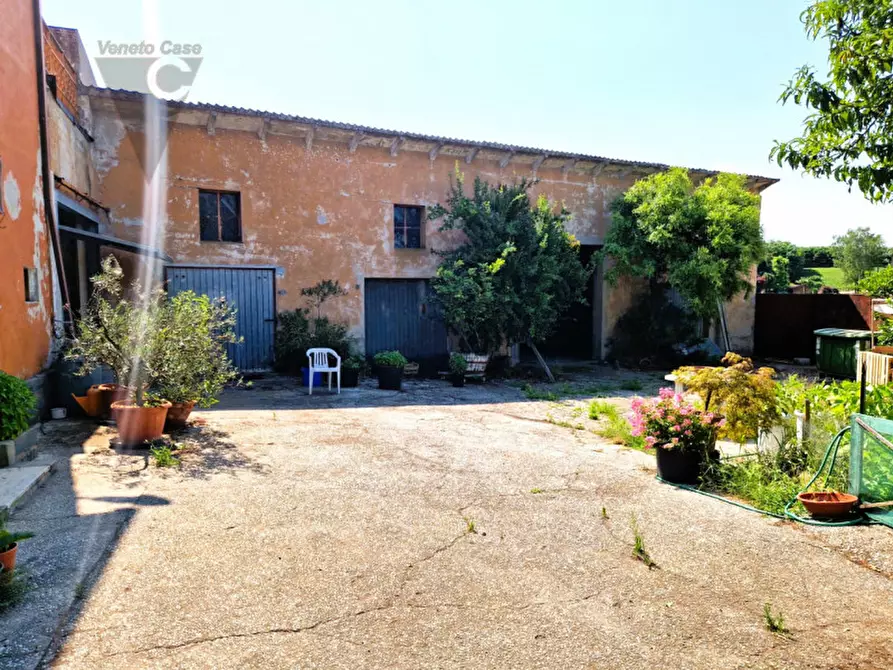 Immagine 8 di Laboratorio in vendita  in Via Piscina a Anguillara Veneta