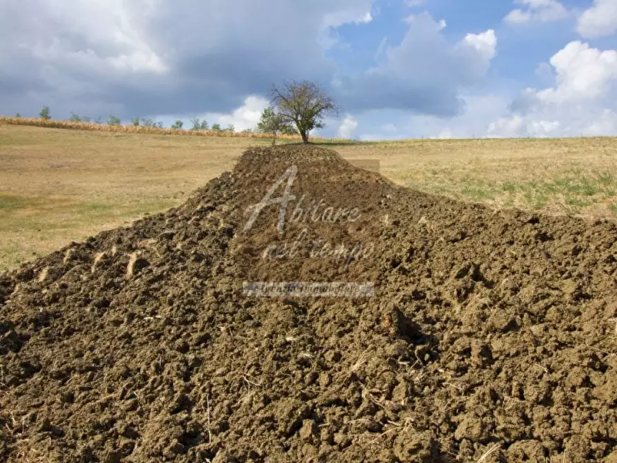 Immagine 17 di Terreno in vendita  in VIA SAN ANTONIO 110 a San Giorgio In Bosco