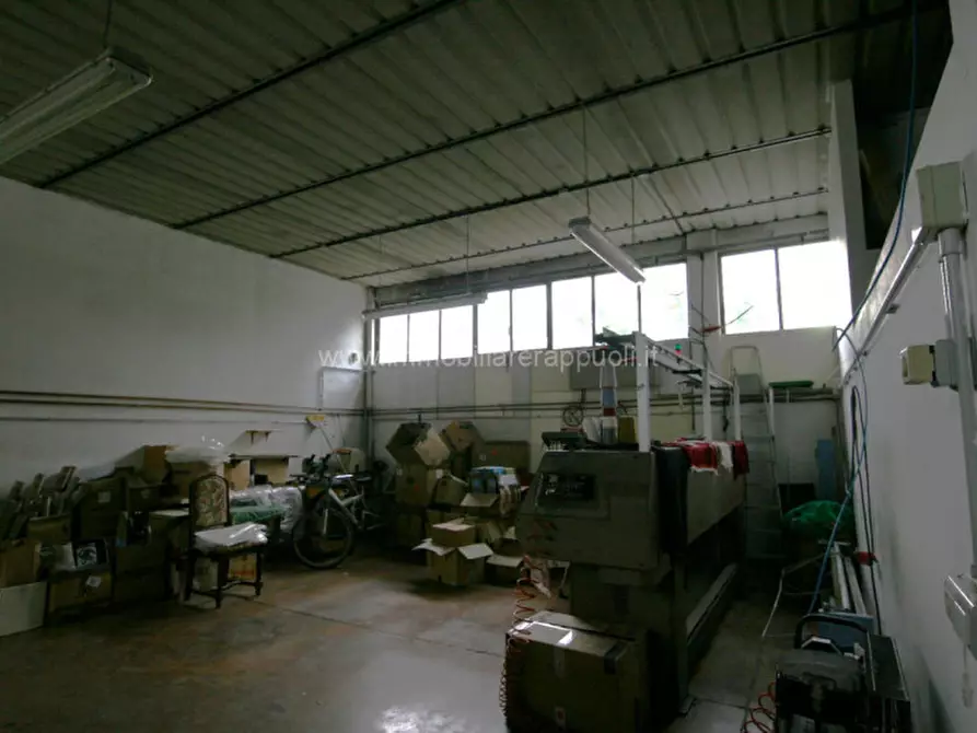 Immagine 17 di Casa indipendente in vendita  a Rapolano Terme