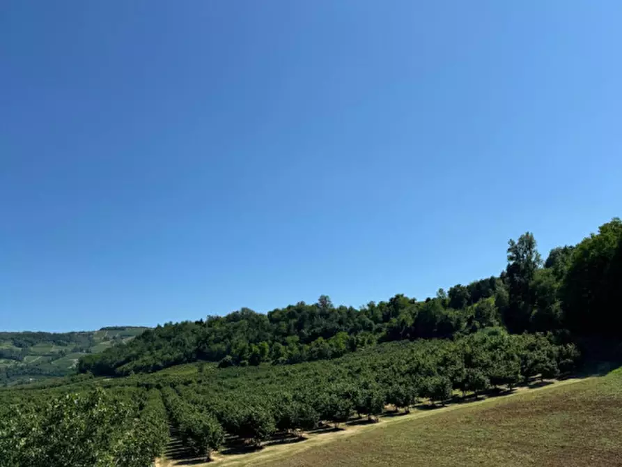 Immagine 17 di Rustico / casale in vendita  in regione masentino a Cessole