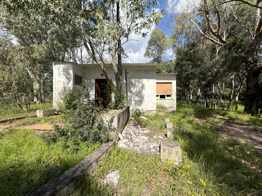 Immagine 6 di Casa indipendente in vendita  in Viale Marinella a Pula