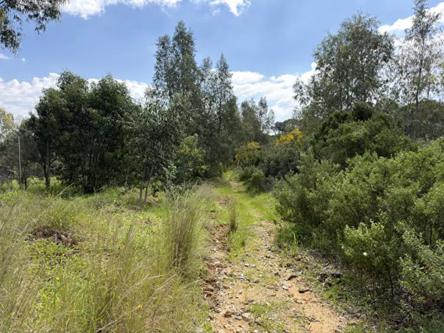Immagine 32 di Casa indipendente in vendita  in Viale Marinella a Pula