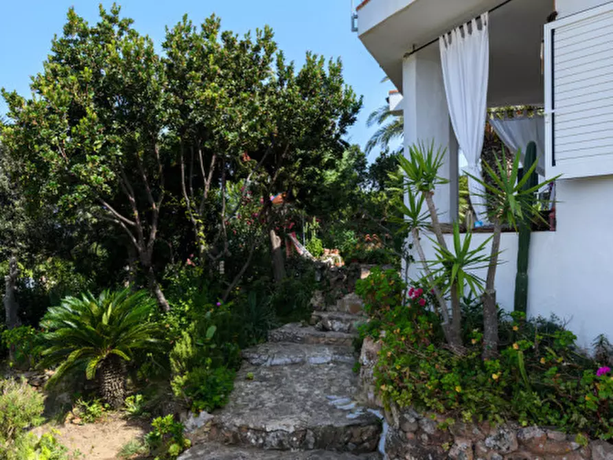 Immagine 21 di Villa in vendita  in via dei pescatori a Olbia