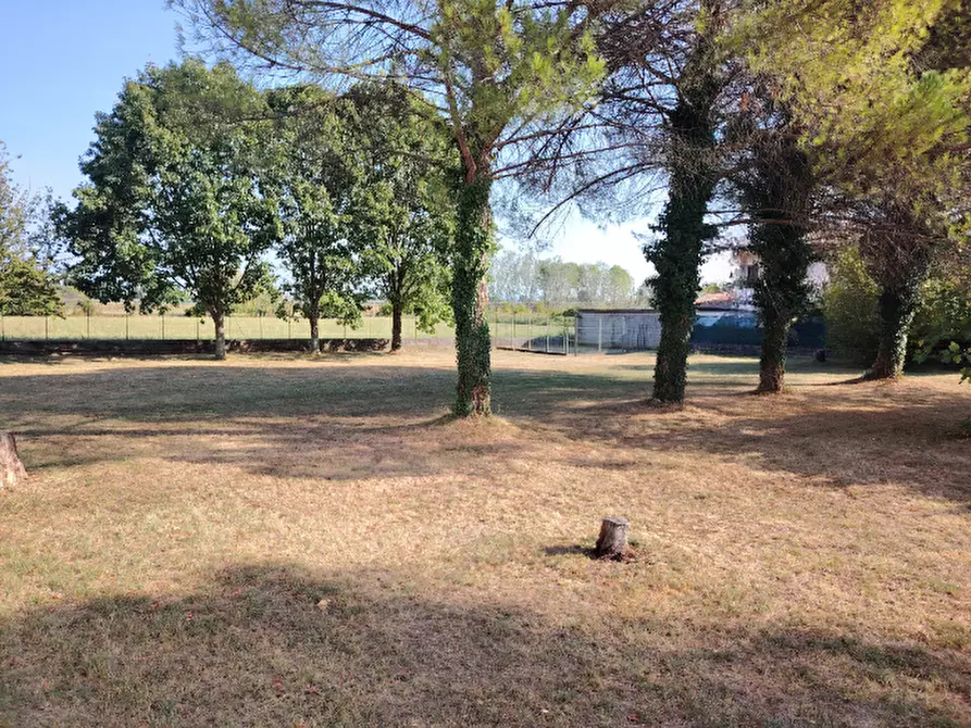 Immagine 3 di Terreno in vendita  in via gradisca 56 a Farra D'isonzo