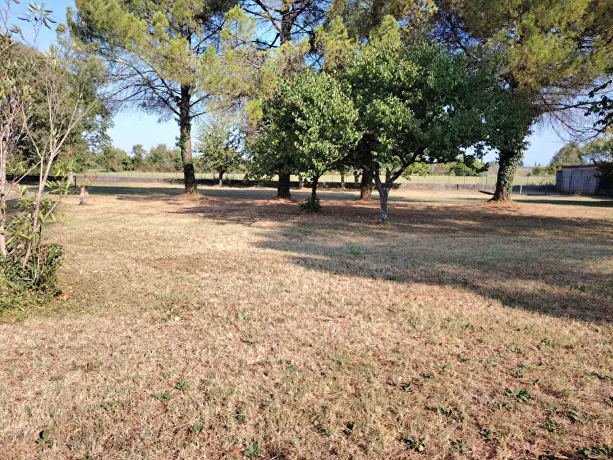 Immagine 5 di Terreno in vendita  in via gradisca 56 a Farra D'isonzo