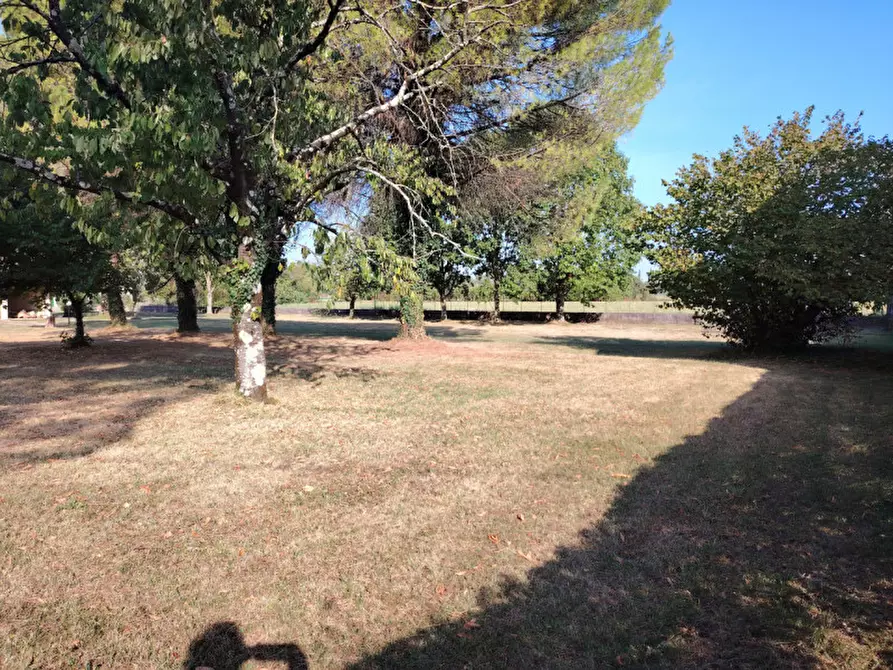 Immagine 6 di Terreno in vendita  in via gradisca 56 a Farra D'isonzo