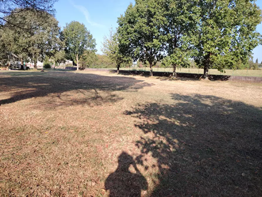 Immagine 8 di Terreno in vendita  in via gradisca 56 a Farra D'isonzo