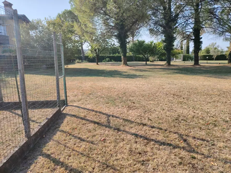 Immagine 15 di Terreno in vendita  in via gradisca 56 a Farra D'isonzo