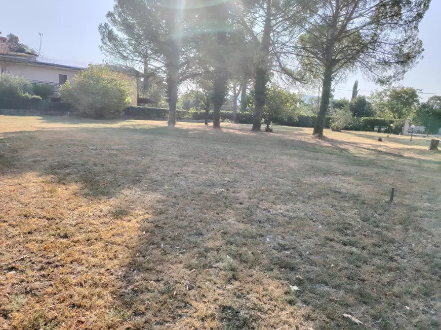 Immagine 18 di Terreno in vendita  in via gradisca 56 a Farra D'isonzo