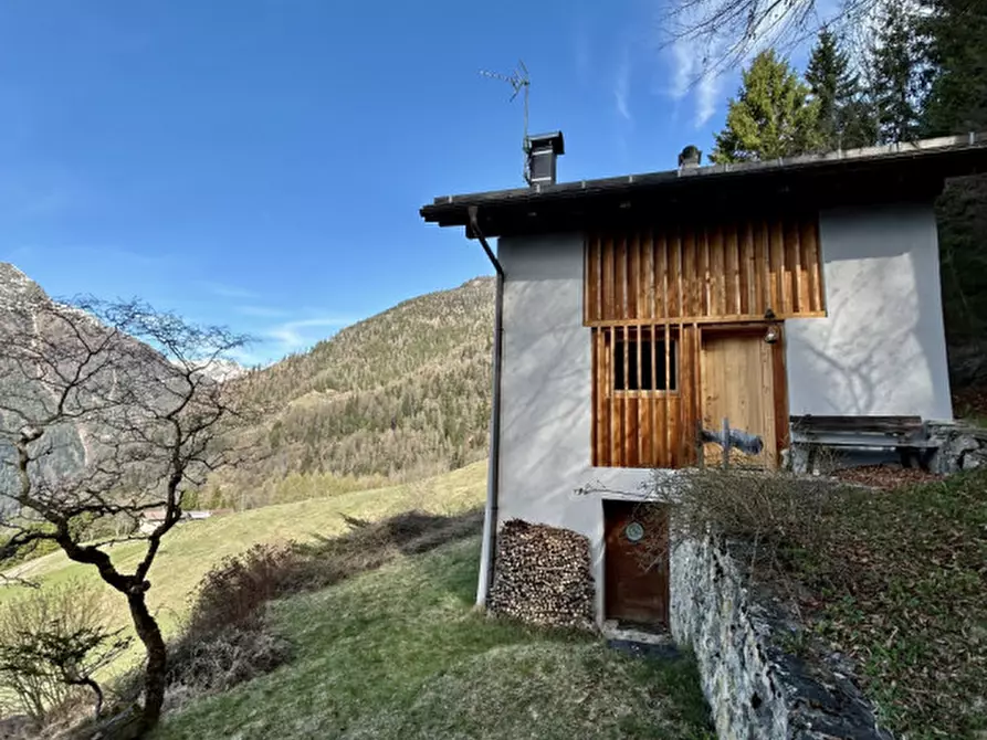 Immagine 6 di Rustico / casale in vendita  in pracorno masi de sora a Rabbi