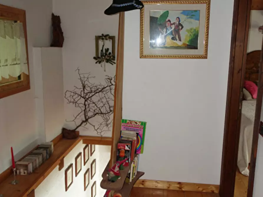 Immagine 11 di Rustico / casale in vendita  in pracorno masi de sora a Rabbi