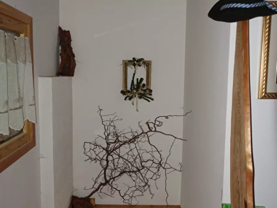 Immagine 17 di Rustico / casale in vendita  in pracorno masi de sora a Rabbi