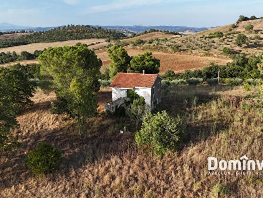 Immagine 1 di Rustico / casale in vendita  in Strada provinciale Sgrilla a Capalbio