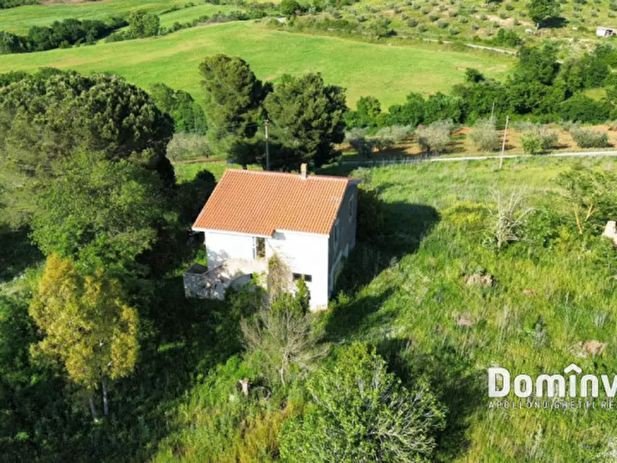 Immagine 1 di Rustico / casale in vendita  in Strada provinciale Sgrilla a Capalbio