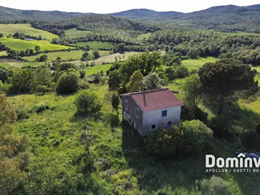 Immagine 3 di Rustico / casale in vendita  in Strada provinciale Sgrilla a Capalbio
