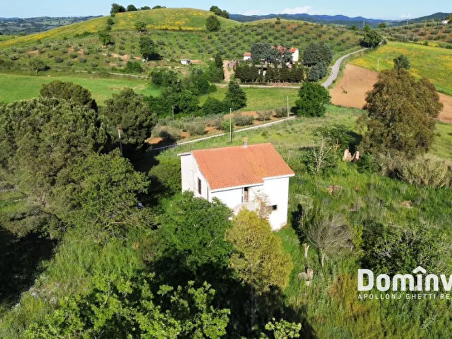 Immagine 4 di Rustico / casale in vendita  in Strada provinciale Sgrilla a Capalbio