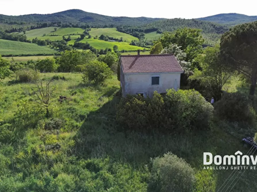 Immagine 5 di Rustico / casale in vendita  in Strada provinciale Sgrilla a Capalbio