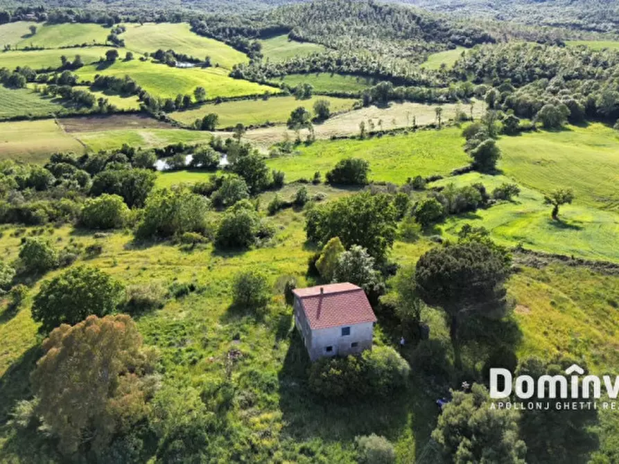 Immagine 6 di Rustico / casale in vendita  in Strada provinciale Sgrilla a Capalbio