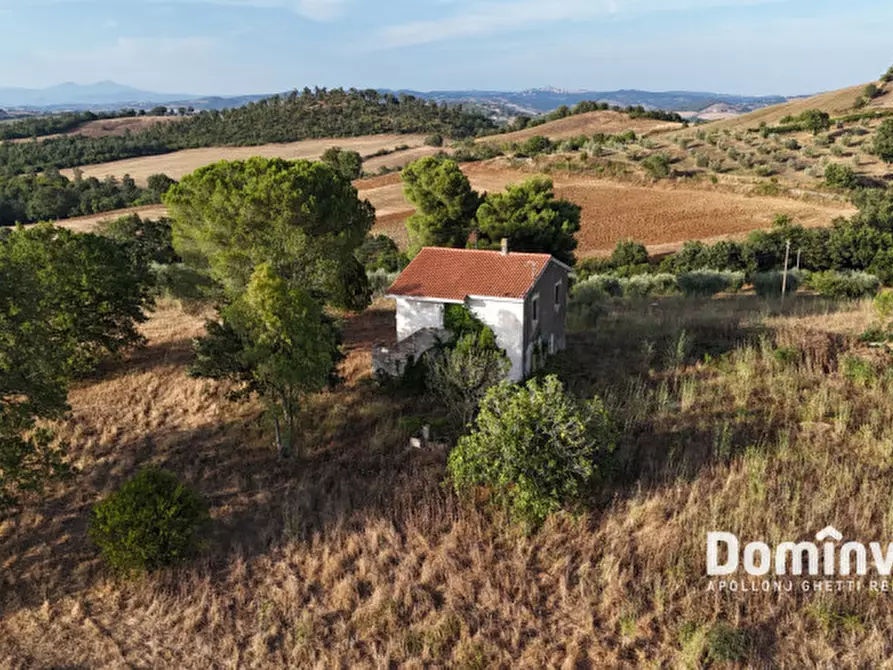 Immagine 8 di Rustico / casale in vendita  in Strada provinciale Sgrilla a Capalbio