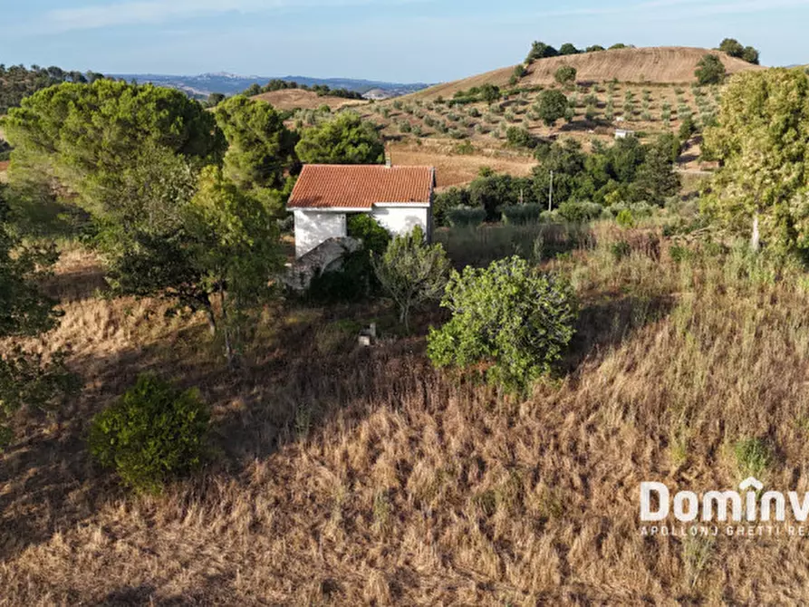 Immagine 9 di Rustico / casale in vendita  in Strada provinciale Sgrilla a Capalbio