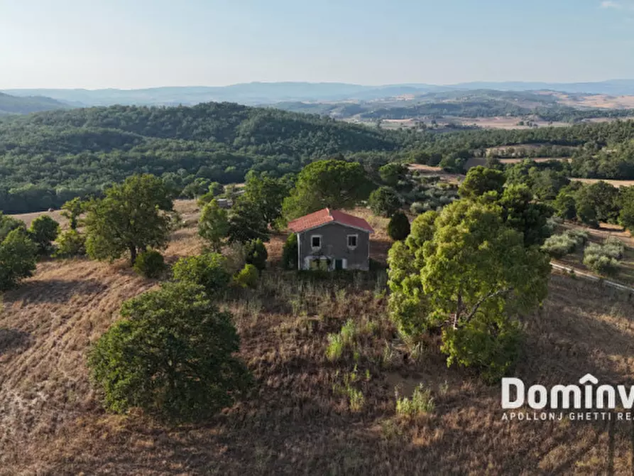 Immagine 12 di Rustico / casale in vendita  in Strada provinciale Sgrilla a Capalbio