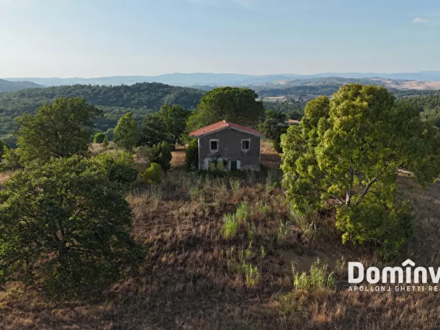Immagine 13 di Rustico / casale in vendita  in Strada provinciale Sgrilla a Capalbio