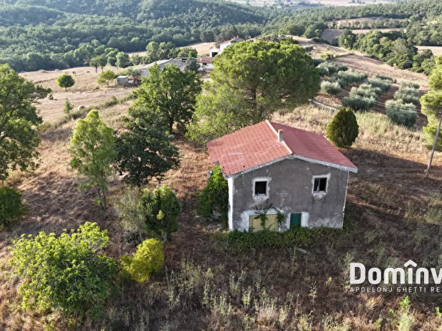 Immagine 13 di Rustico / casale in vendita  in Strada provinciale Sgrilla a Capalbio