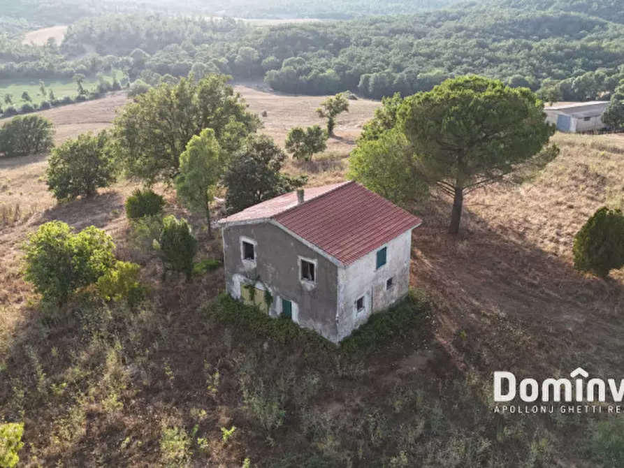 Immagine 14 di Rustico / casale in vendita  in Strada provinciale Sgrilla a Capalbio