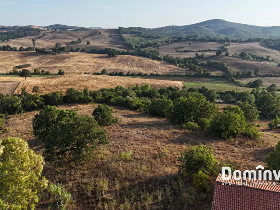 Immagine 15 di Rustico / casale in vendita  in Strada provinciale Sgrilla a Capalbio