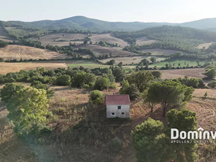 Immagine 16 di Rustico / casale in vendita  in Strada provinciale Sgrilla a Capalbio
