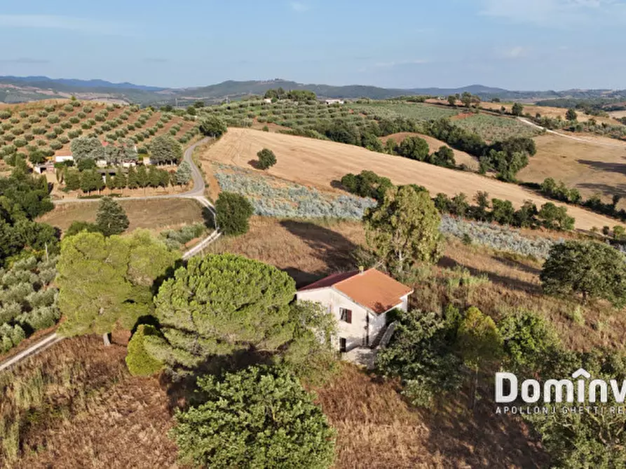 Immagine 17 di Rustico / casale in vendita  in Strada provinciale Sgrilla a Capalbio