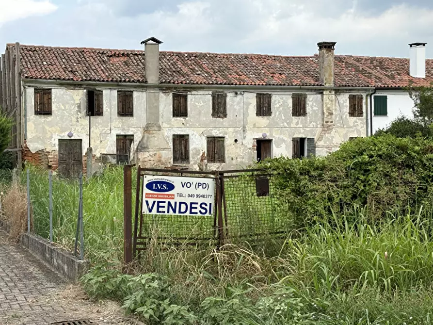 Immagine 1 di Casa indipendente in vendita  in via bosco basso 15 a Megliadino San Vitale