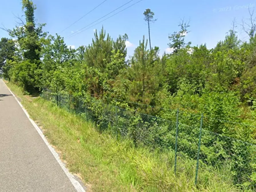 Immagine 2 di Terreno in vendita  in Via celle Pinete, N. Snc a Castelfranco Di Sotto