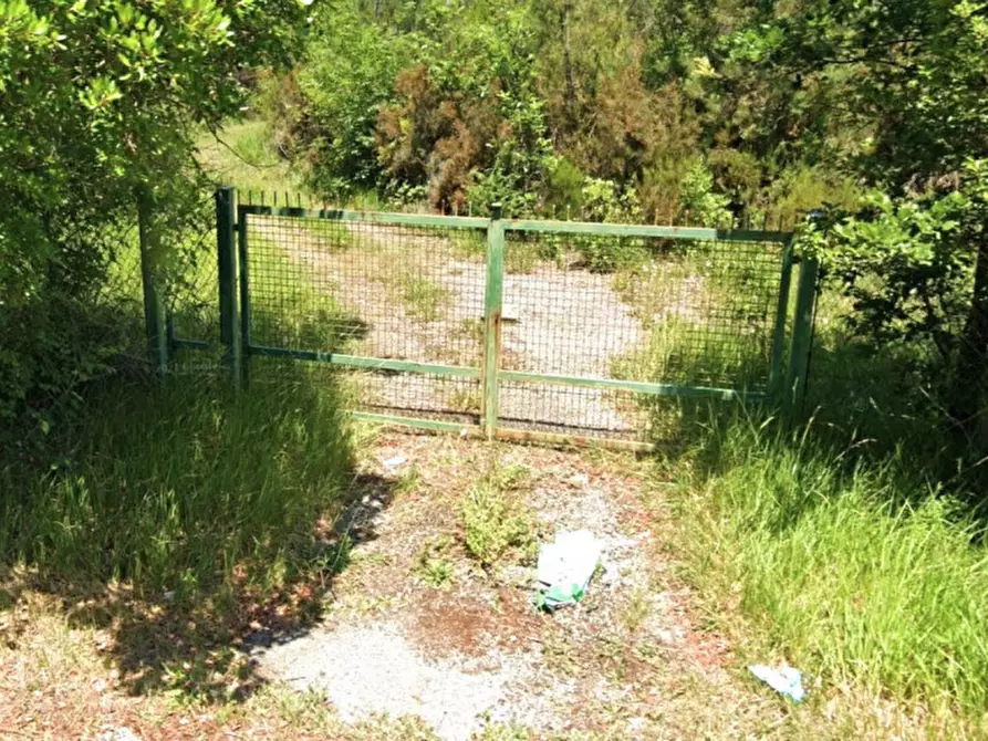 Immagine 4 di Terreno in vendita  in Via celle Pinete, N. Snc a Castelfranco Di Sotto