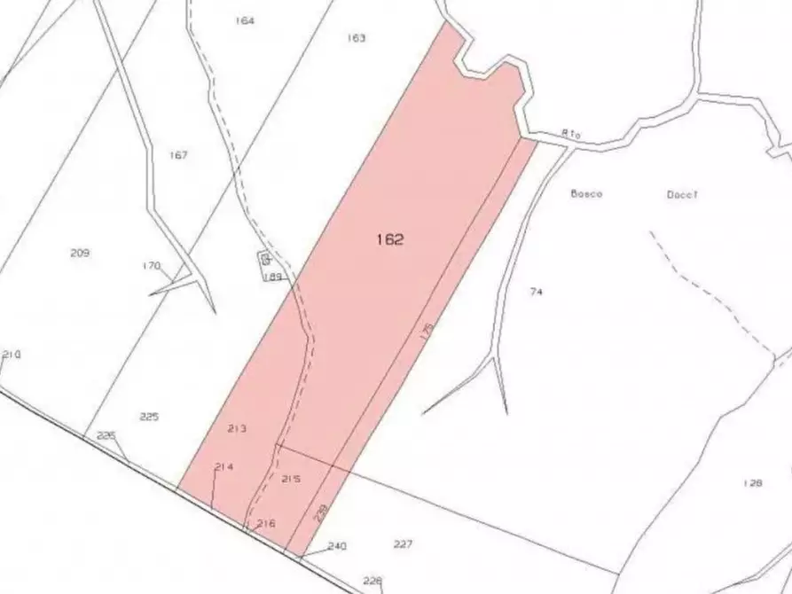 Immagine 7 di Terreno in vendita  in Via celle Pinete, N. Snc a Castelfranco Di Sotto