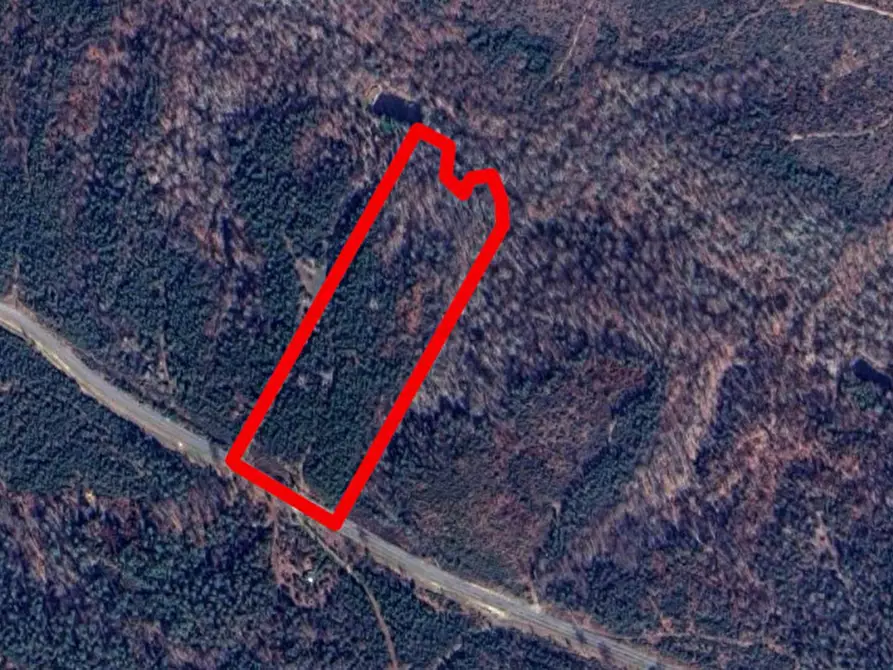 Immagine 12 di Terreno in vendita  in Via celle Pinete, N. Snc a Castelfranco Di Sotto