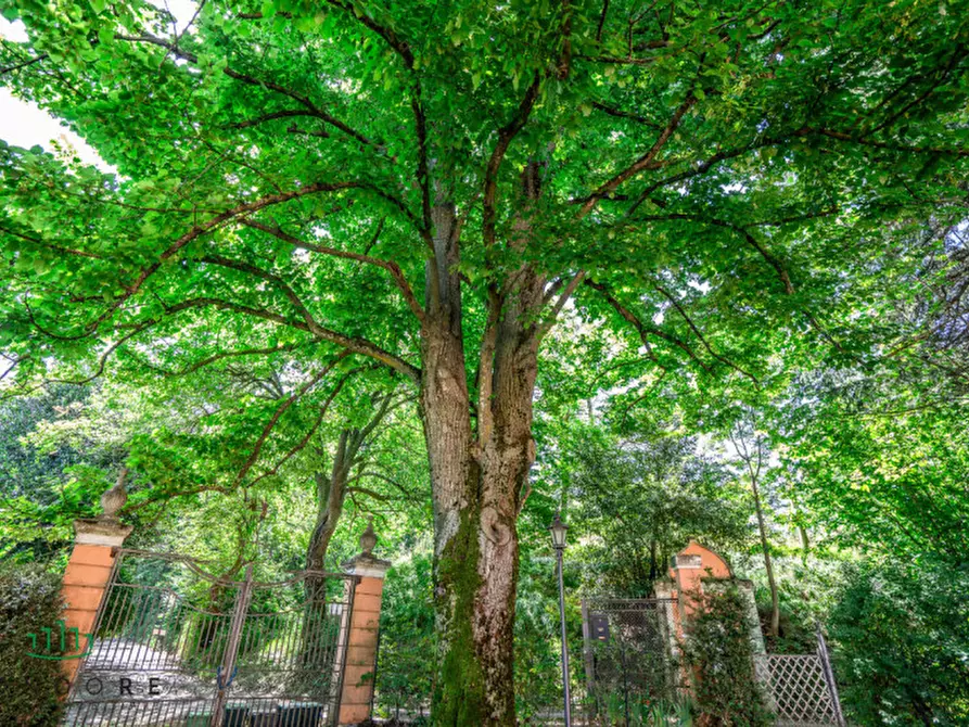 Immagine 91 di Villa in vendita  in Via Lagune a Sasso Marconi