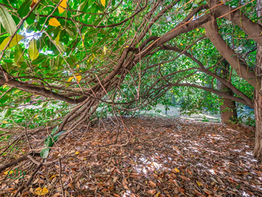 Immagine 94 di Villa in vendita  in Via Lagune a Sasso Marconi