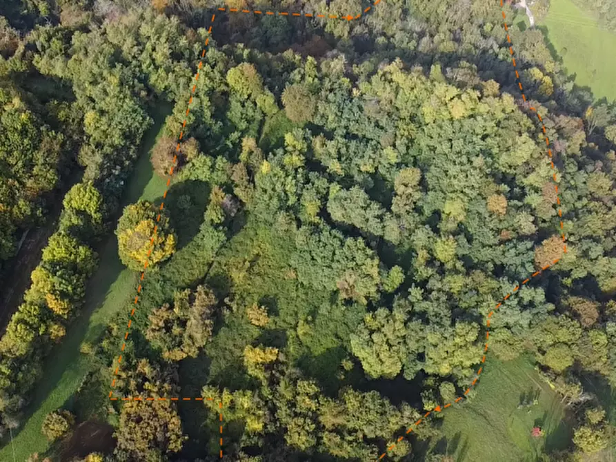 Immagine 1 di Terreno in vendita  a San Vito Di Leguzzano