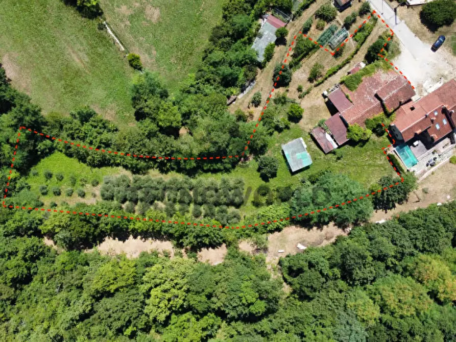 Immagine 9 di Rustico / casale in vendita  a Malo