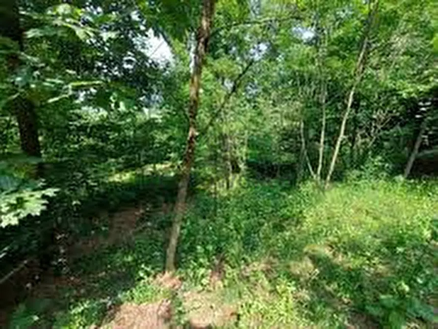 Immagine 2 di Terreno in vendita  a Malo