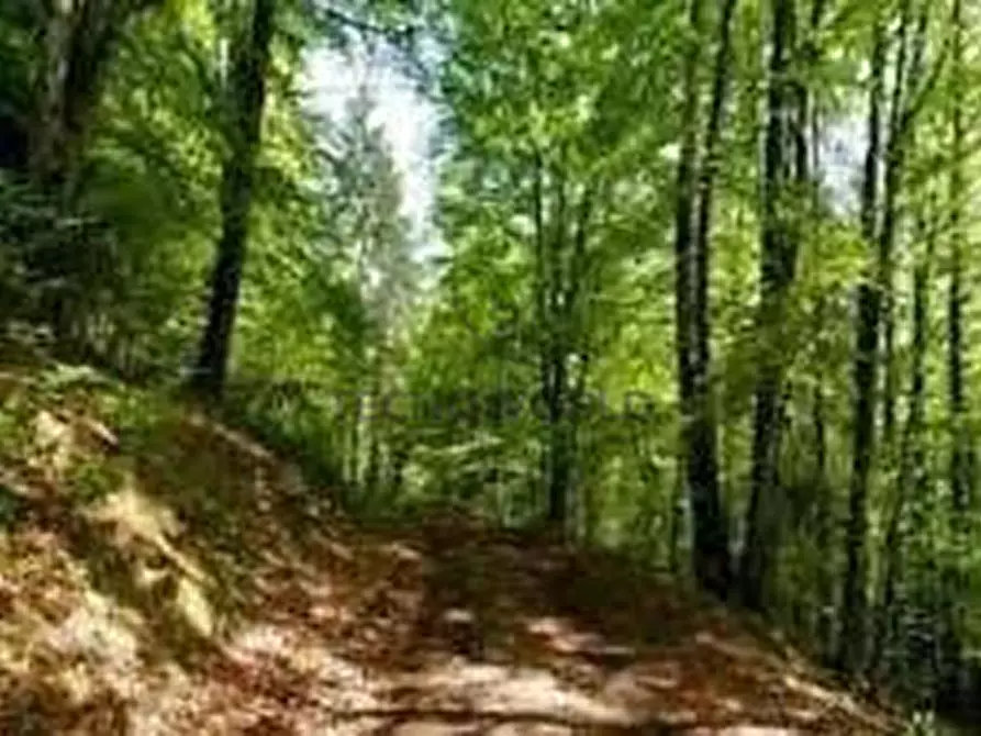 Immagine 3 di Terreno in vendita  a Malo