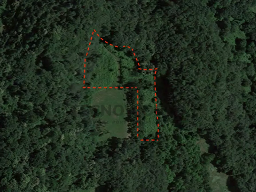 Immagine 4 di Terreno in vendita  a Malo