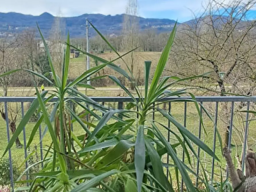 Immagine 15 di Appartamento in vendita  in via magrè a San Vito Di Leguzzano